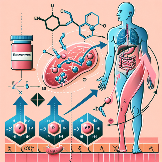Exemestane and its influence on metabolism during exercise
